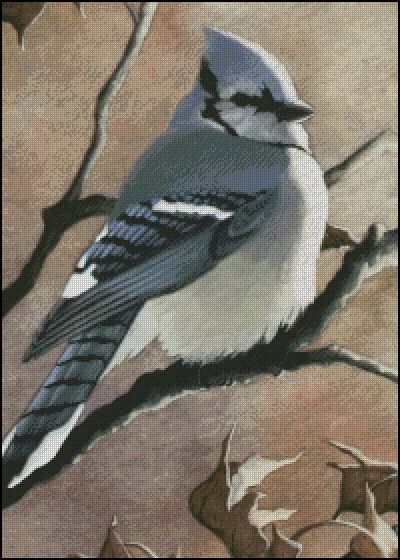 (image for) Blue Jay - MW